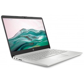 HP 14s core i3 8th Gen 14 inch FHD Laptop (8 GB/1TB HDD/Windows 10/MS Office 2019/Natural Silver /1.43kg) 14s-cf1056tu