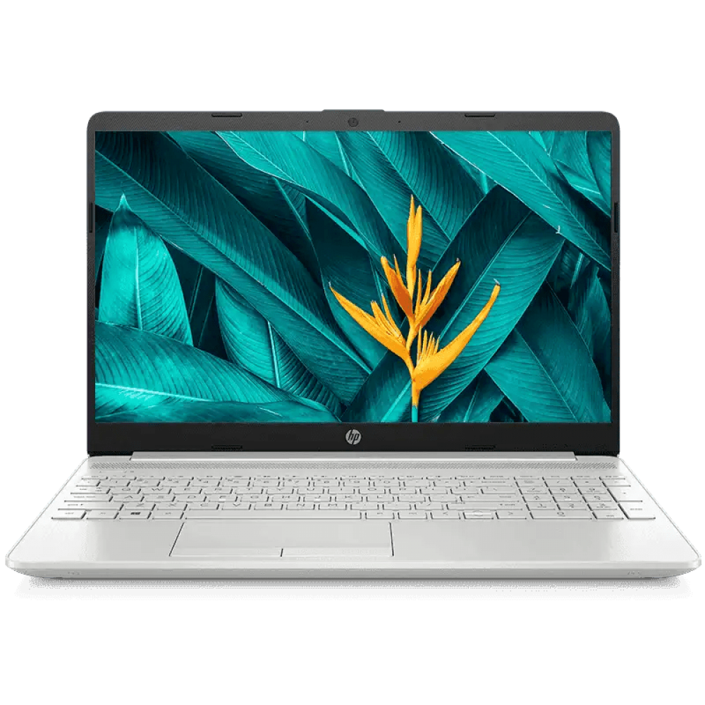 HP i5 10th Gen 15.6-inch FHD Laptop (8GB/1 TB SSD/Windows 10 Home/MS Office/Natural Silver/1.69 kg), 15s-fr1002tu (9DS53PA)